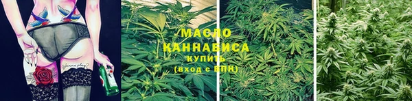 гидра Верея