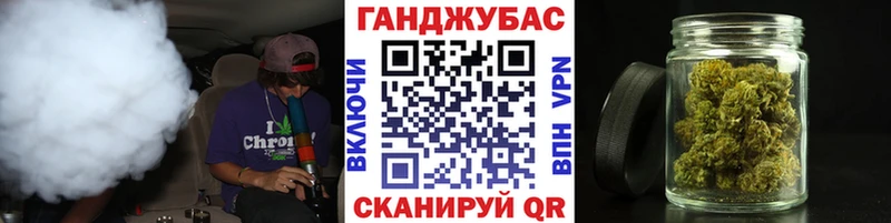 Каннабис план  даркнет сайт  Кашин 